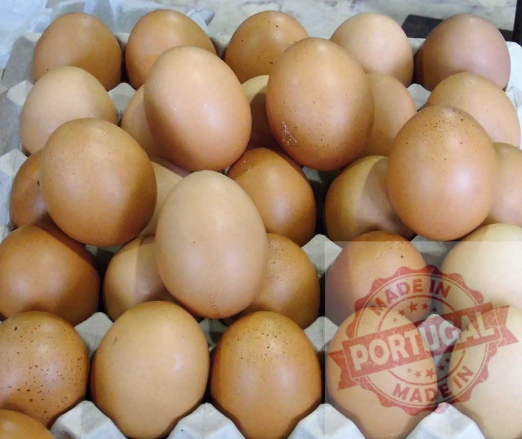 Brown eggs filling a whole carton tray | Brown chicken eggs are filling a full cardboard carton tray - Realized with Pictrs.com