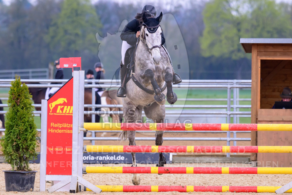 10042026-Mammendorf-Prfg16-0408 | Fokus Hufschlag Fotografie - Realisiert mit Pictrs.com