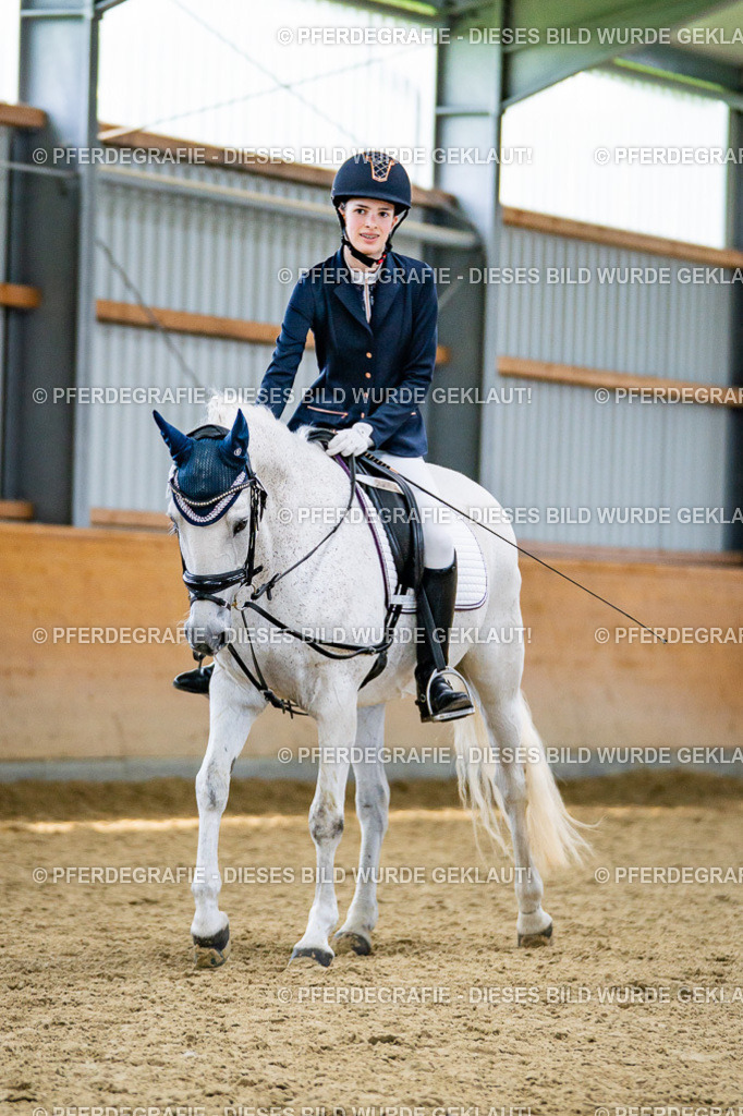 DSC04932 | Pferdegrafie