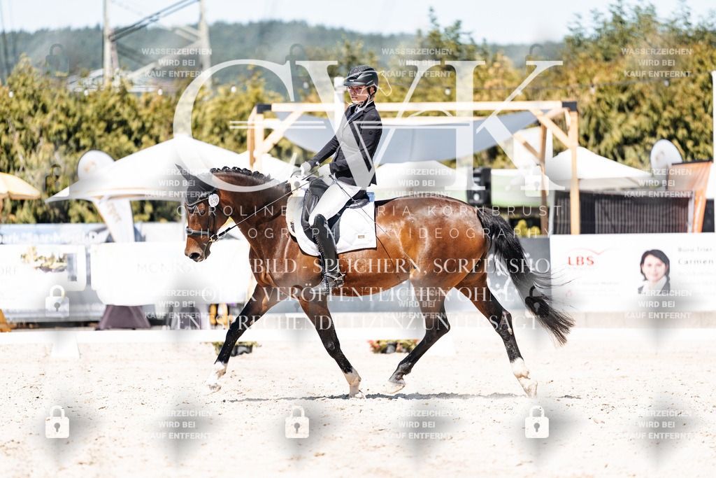 CK900454 | Turnierfotografie Pferdefotografie Trier Rheinland-Pfalz Pferdesport Reitsport Tierfotografie Sportfotografie Pferdevideo Pferdevideografie Equestrianvideography equestrianphotography  - Realisiert mit Pictrs.com