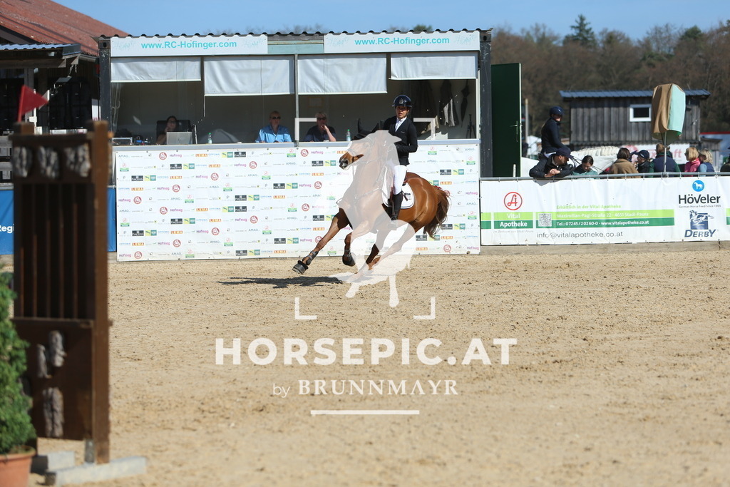 DL2Q0979 | Willkommen bei Brunnmayr - Design & Fotografie – Ihrem Spezialisten für Reitturniere und Pferdeveranstaltungen in Oberösterreich, Salzburg und Bayern! Seit über 17 Jahren sind wir leidenschaftlich dabei.