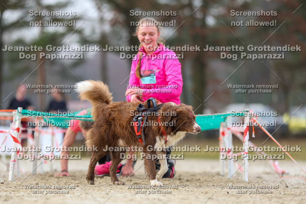 Dog Paparazzi - Strongdog North Mrz26-4076 | Dog Paparazzi Jeanette Grottendiek Fotografie & Videografie - Realisiert mit Pictrs.com