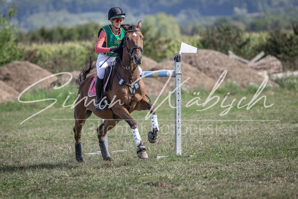 20250907-_3LI2586 | Tierfotografie Pferde, Hunde, Katzen, Haustiere.
Turnierfotografie Reitturniere, Reiten, Springreiten, Dressur in Hanau, dem Main-Kinzig-Kreis und dem Rhein-Main- Gebiet um Frankfurt