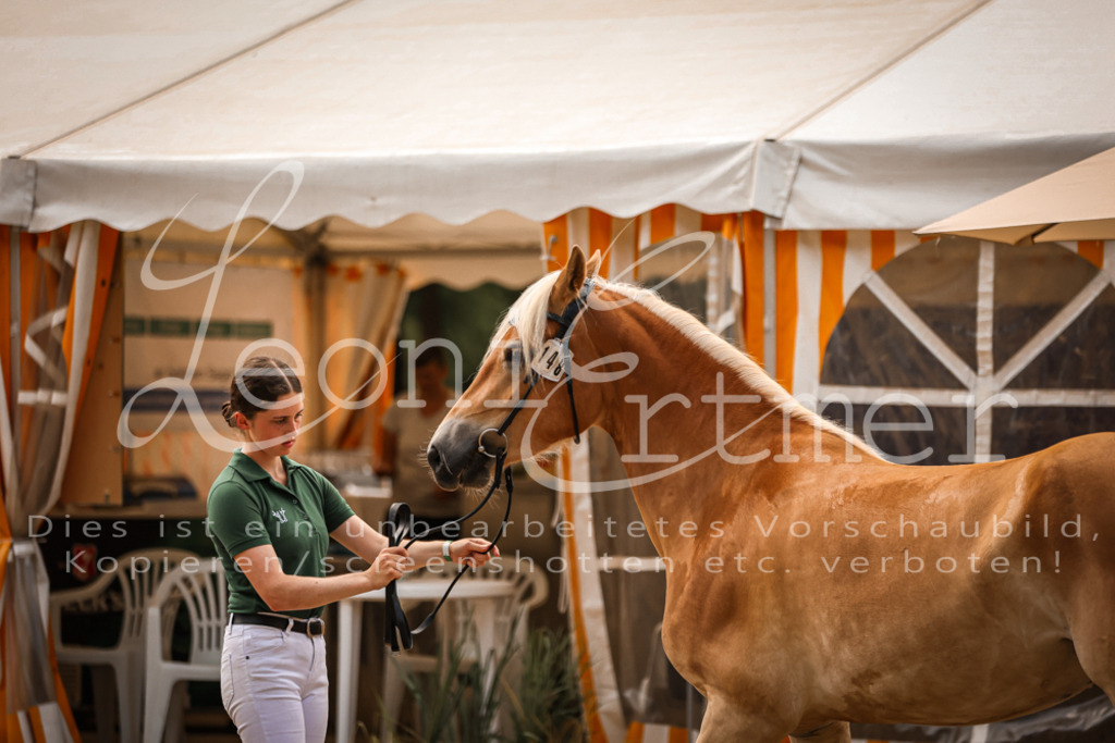 06.So00103 | Leoni Ertmer Photography - Realisiert mit Pictrs.com