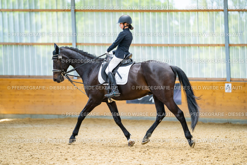 DSC09522 | Pferdegrafie