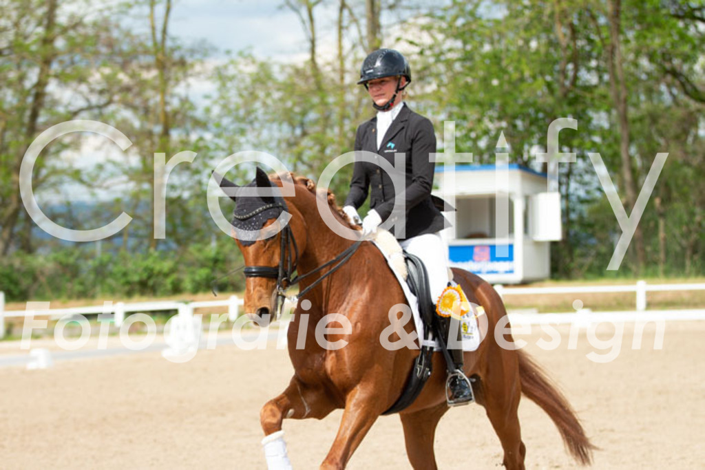 IMG_7044 | Creatify Fotografie