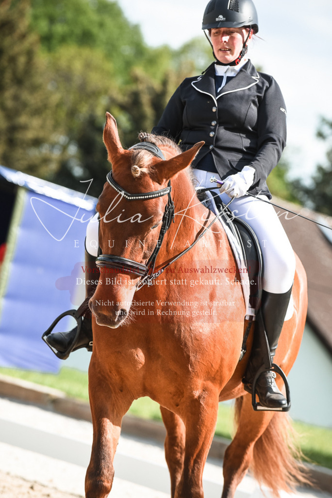 20230518_JK-Röhrsdorf-12-0158 | Pferde- und Turnierfotografie in Westsachsen. Pferdeportraits, Auftragszeichnungen und intuitive Kunst.