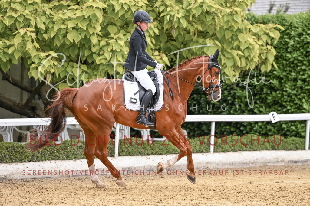 Schugtsche-Aluta25-43.EDressur -143 | Schugtsche Fotografie - Realisiert mit Pictrs.com