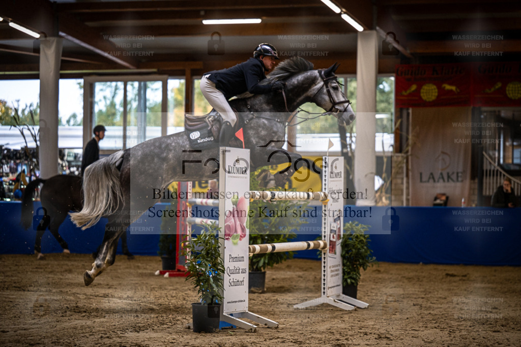 DOS_1988 | Entdecke hochwertige Reitturnierfotos von Foto Oger. Professionell, emotional und authentisch – jetzt Lieblingsmomente im Shop bestellen. - Realisiert mit Pictrs.com