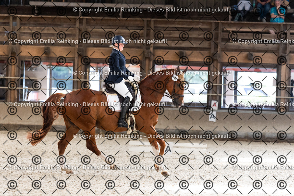 CL5A6016 | Emilia Reinking Fotografie - Realisiert mit Pictrs.com