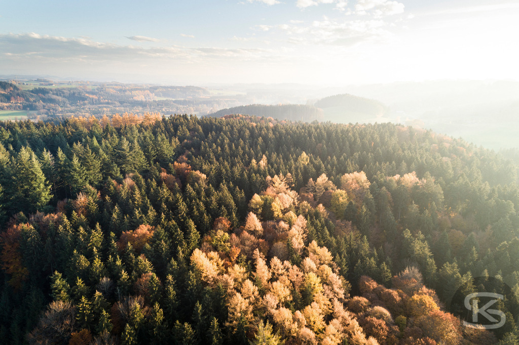 Wunderschöne Allgäu-Winterlandschaft aus der Luft – Hügel, Wälder und Alpenpanorama | Atemberaubende Allgäu-Landschaft aus der Luft mit Nebel und dichtem Wald im Herbst – Sonnenaufgang mit dramatischem Himmel in idyllische Natur, leuchtende Herbstfarben für beeindruckende Drohnenaufnahme - Realisiert mit Pictrs.com