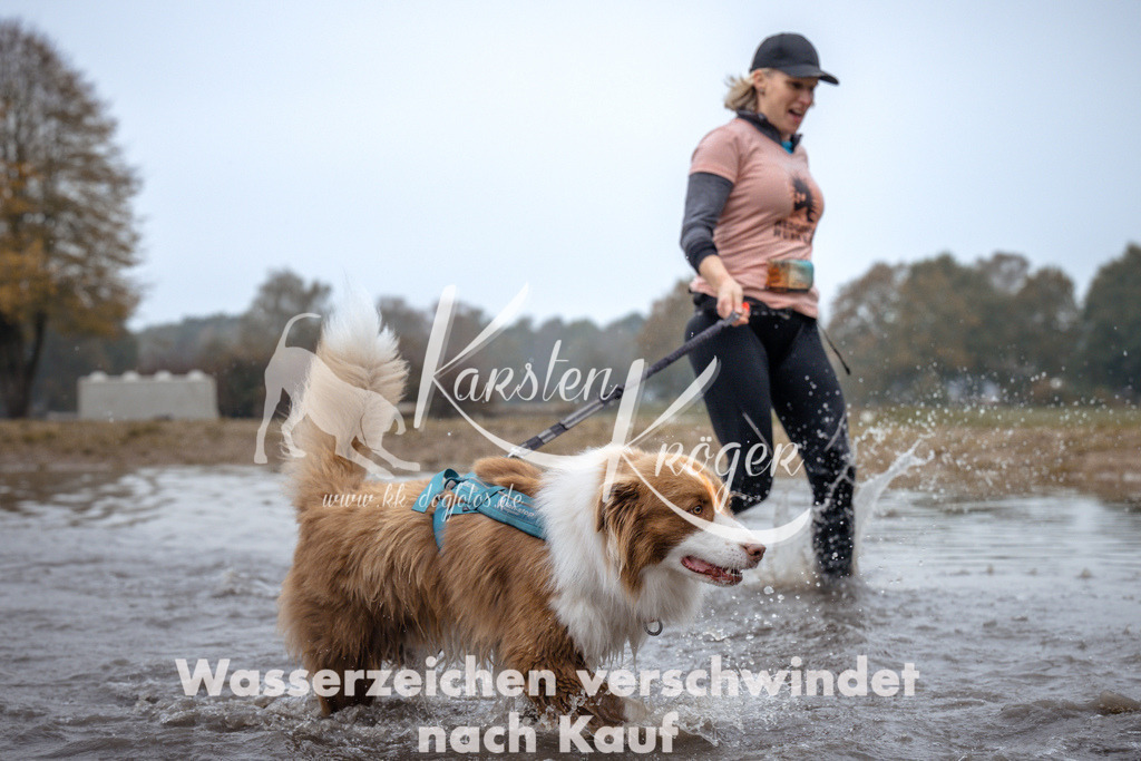 1003_ZZ97642 | kk-dogfotos