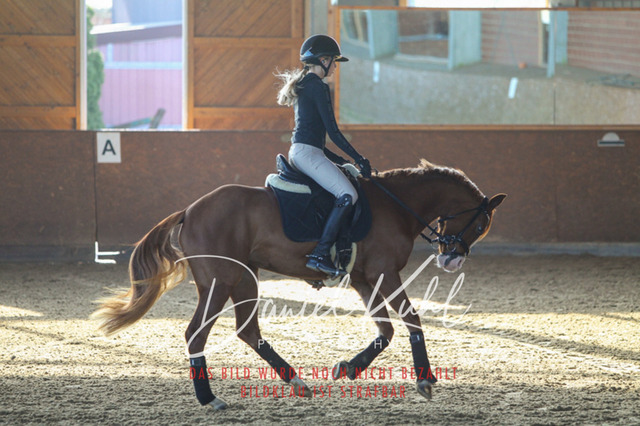 DKP42157 | Turniersportfotografie; Pferdefotografie; Dressurfotografie