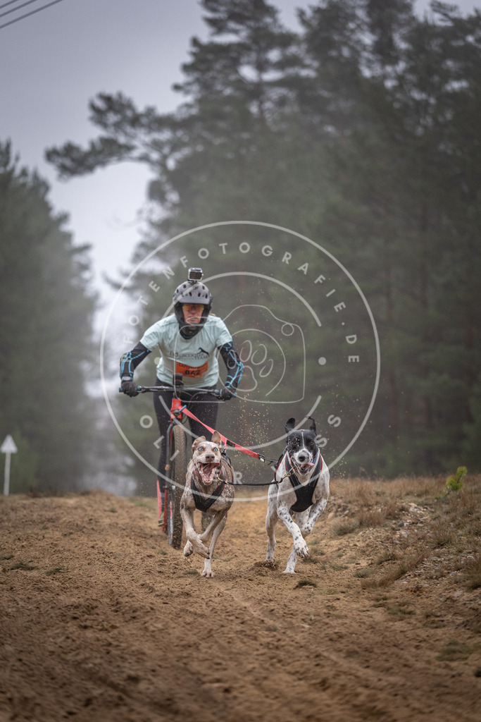 Pfotenfotografie_DV3A0952 | Hundefotografie, Tierfotograf, Pfotenfotografie, Fotoshooting Hund, Hunde Portrait, Hundesport, Hundeportraits, Heideshooting, Hunde, Sportfotograf, Hundefotograf, Turnierhundsport, THS,  - Realisiert mit Pictrs.com