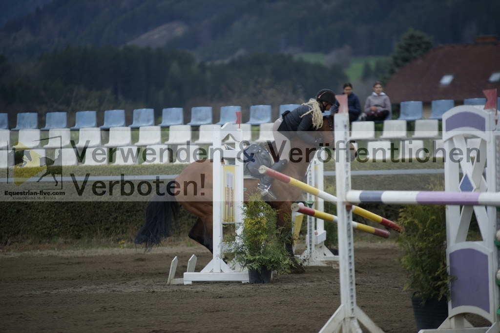 _DSC8253 | equestrian-live-com
