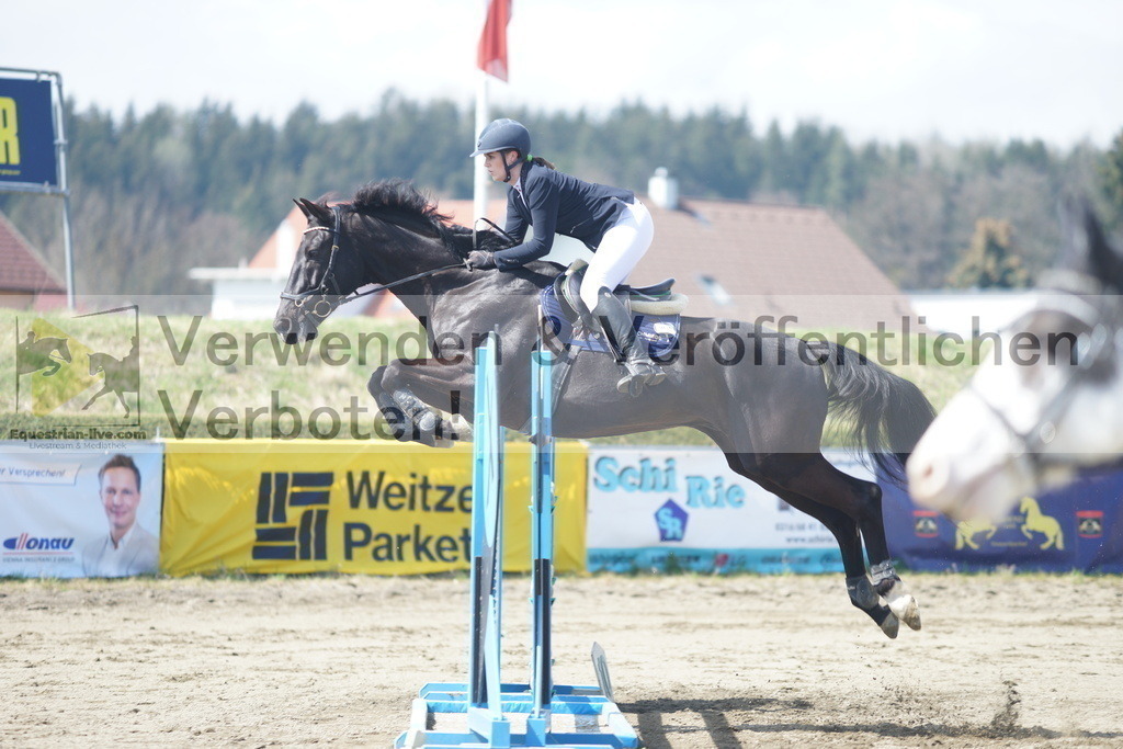 DSC02553 | equestrian-live-com