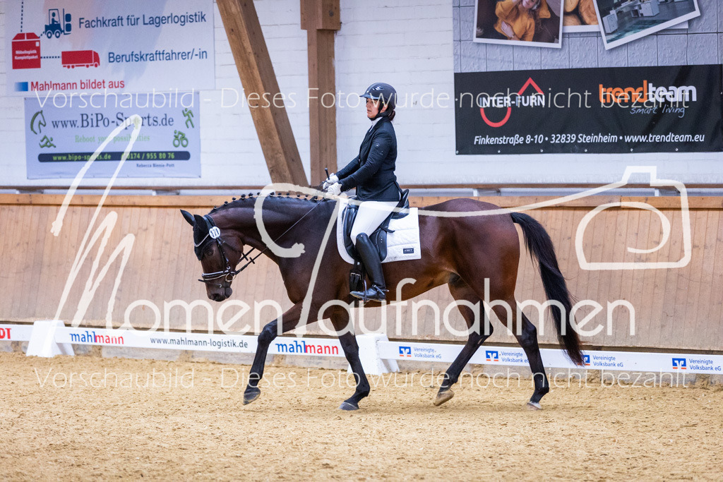 Sth-A-Dre-2St-008 | MomenTaufnahmen Pferdesportfotos