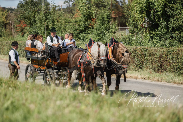 7V6A1300 | natalia-nirschl-photography