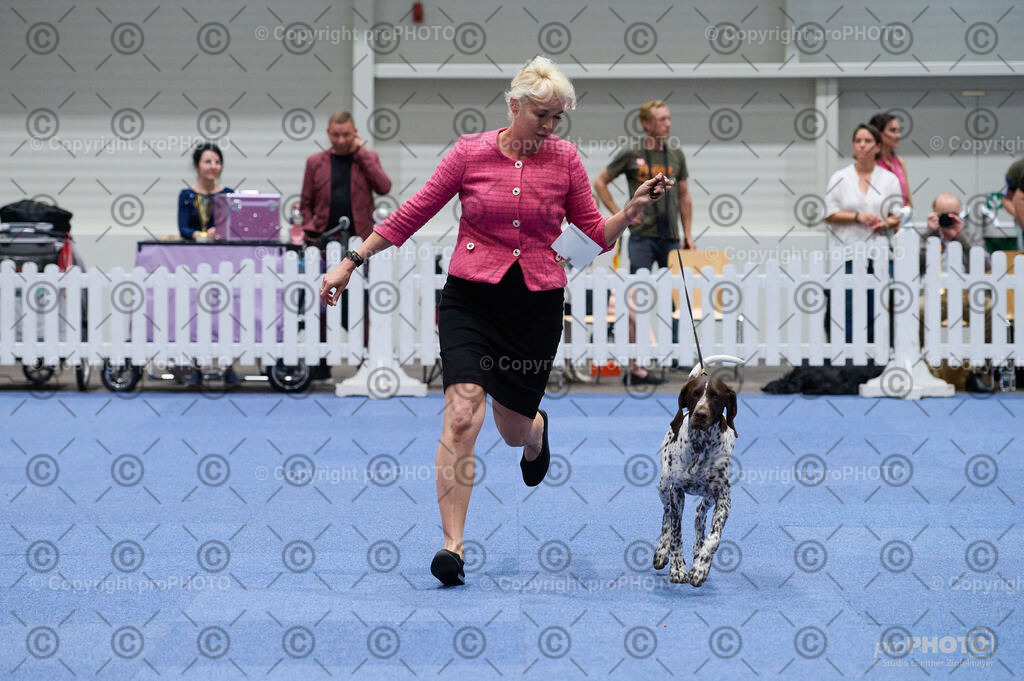 202406_ÖKV-IHA-Tulln24_DSC_3120 | proPHOTO - Realisiert mit Pictrs.com