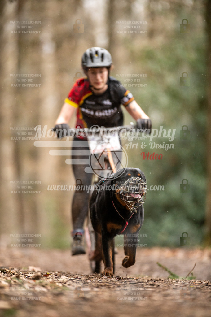 SPA_2023_DIM_Scooter-60 | PayLife