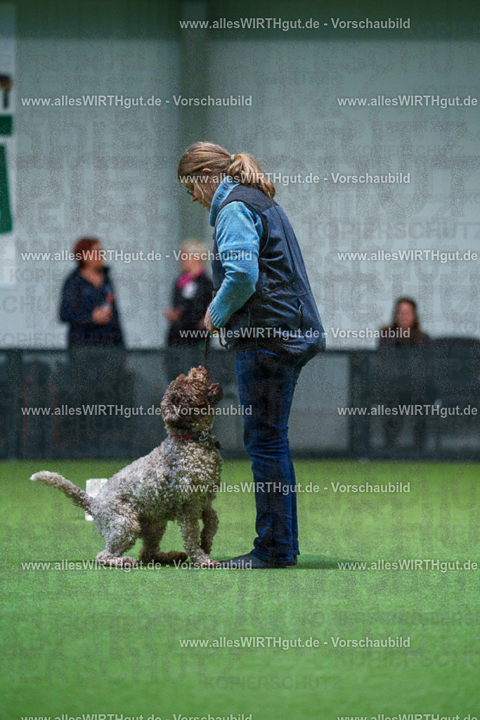 7R503057 | Professionelle Tierfotografie in Mönchengladbach von Daniel Wirth (allesWIRTHgut). Liebevolle & natürliche Bilder von Hunden & Katzen für unvergessliche Erinnerungen.
