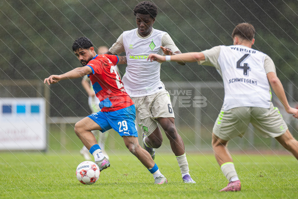 20250921_Picselweb-Fotografie_Meta_1R3_1263 | SV Drochtersen Assel - Werder Bremen II 3:2 - Realisiert mit Pictrs.com
