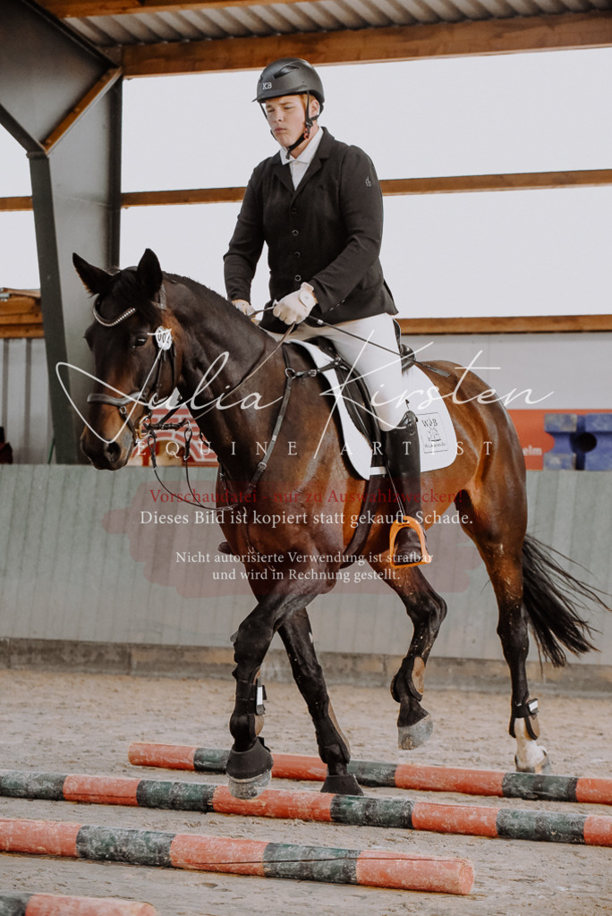 DSC_7433 | Pferde- und Turnierfotografie in Westsachsen. Pferdeportraits, Auftragszeichnungen und intuitive Kunst.
