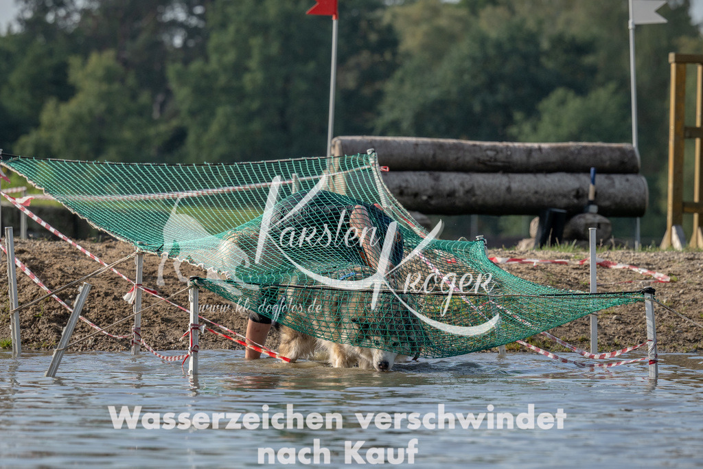 1302_ZZ94507 | kk-dogfotos