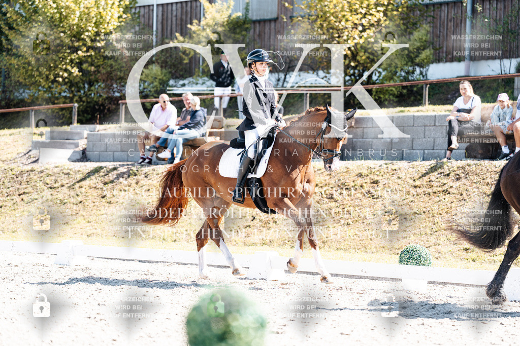 CK904096 | Turnierfotografie Pferdefotografie Trier Rheinland-Pfalz Pferdesport Reitsport Tierfotografie Sportfotografie Pferdevideo Pferdevideografie Equestrianvideography equestrianphotography  - Realisiert mit Pictrs.com
