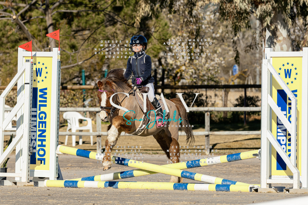 IMG_7712 | s-jay-photography - Realisiert mit Pictrs.com