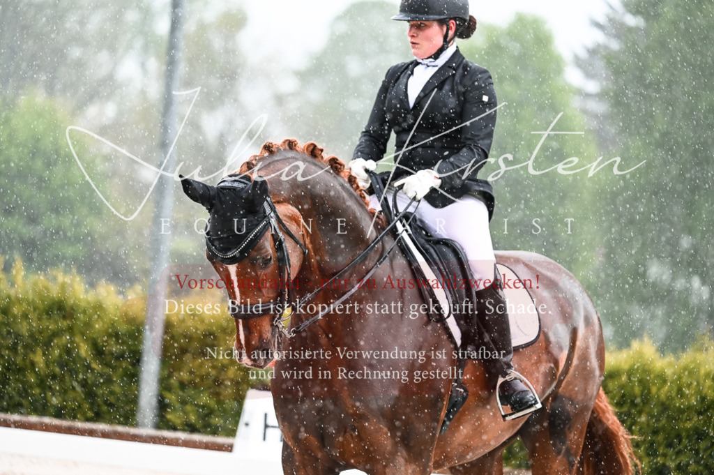 DSC_4104 | Pferde- und Turnierfotografie in Westsachsen. Pferdeportraits, Auftragszeichnungen und intuitive Kunst.