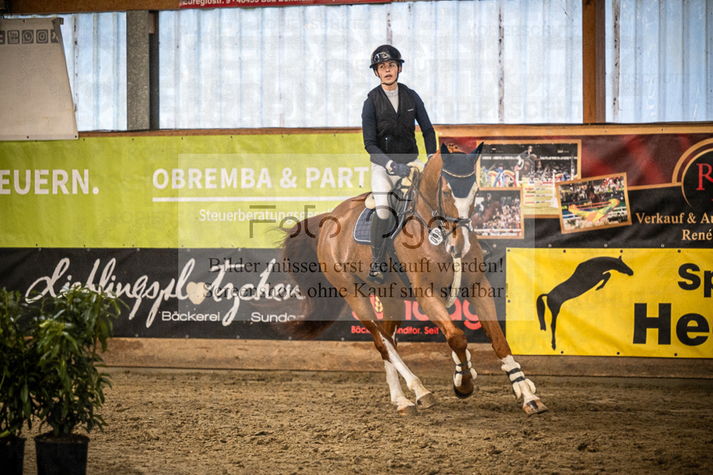 DOS_1267 | Entdecke hochwertige Reitturnierfotos von Foto Oger. Professionell, emotional und authentisch – jetzt Lieblingsmomente im Shop bestellen.Deutschlandweite Turnierfotografie. - Realisiert mit Pictrs.com