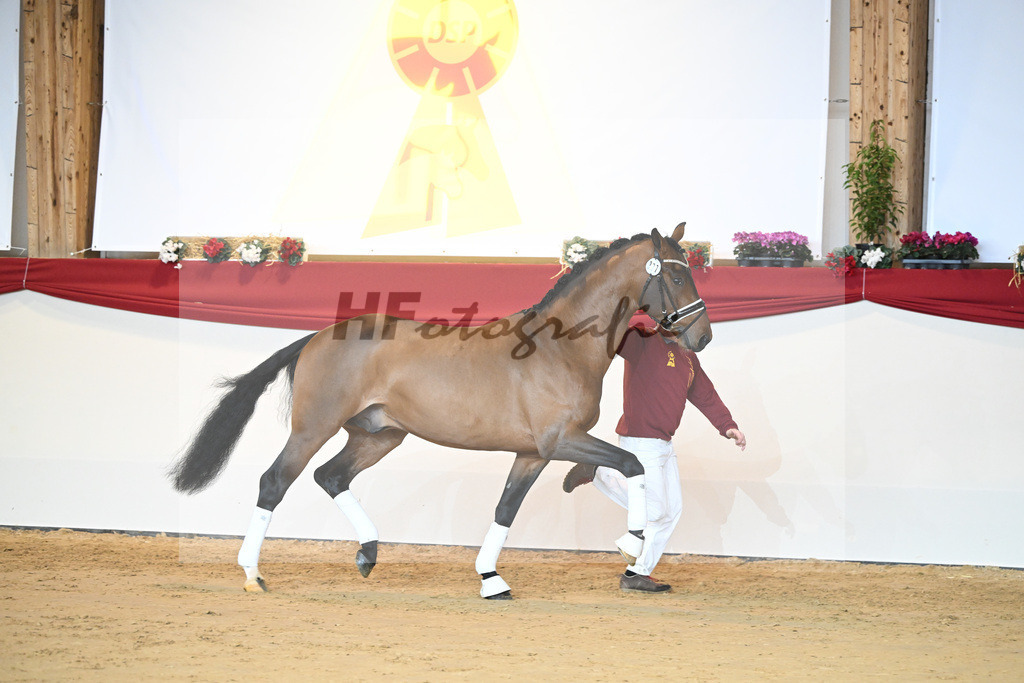 Kat-Nr. 77 Vitalis_Bock_1231532 | hf-fotografie - Realisiert mit Pictrs.com