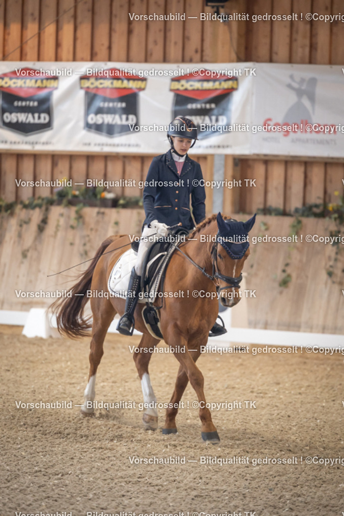 _D5A2069 | Emotionale Pferde- & People-Fotografie rund um Heidelberg, Leimen & Umgebung. Natürliche Fotos von Pferd, Mensch & Familie. Jetzt Termin sichern!