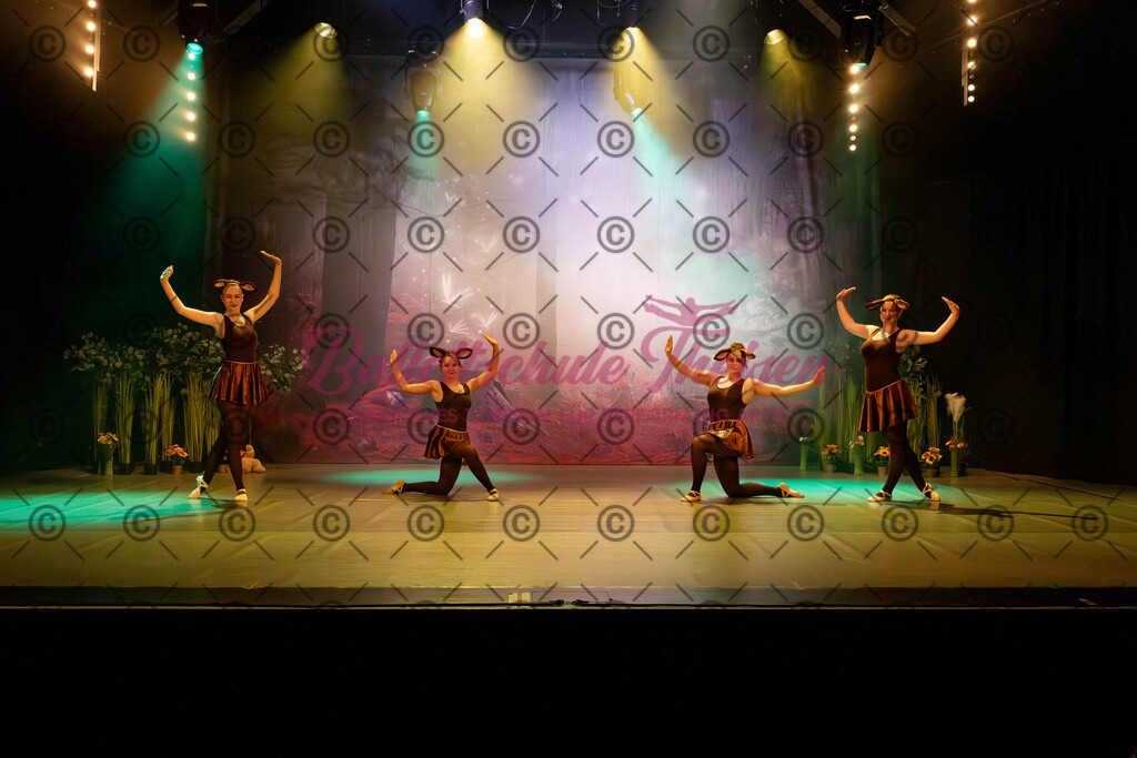 Ballettaufführung-37 | Bildershop Lem'n Entertainment - Realisiert mit Pictrs.com