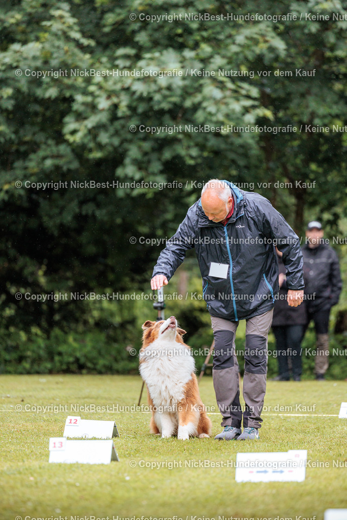 RO-Blumenthal-2026-Nickbest-Hundefotografie-0702 | Dein Hund! Dein Moment! Deine Erinnerungen! Hundefotografie in Bremen Blumenthal. Ich fange die besonderen Momente deines Vierbeiners ein – ob Indoor mit Blitzanlage oder in der freien Natur. Sicher dir dein Moment und dein Termin für eure Erinnerungen.