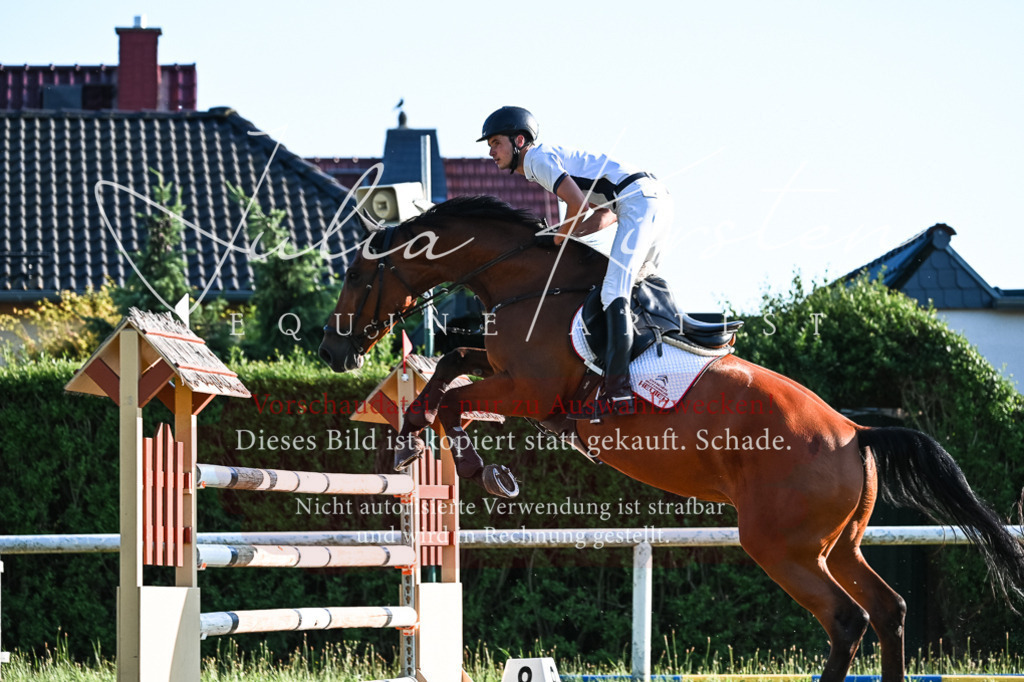 DSC_3105 | Pferde- und Turnierfotografie in Westsachsen. Pferdeportraits, Auftragszeichnungen und intuitive Kunst.