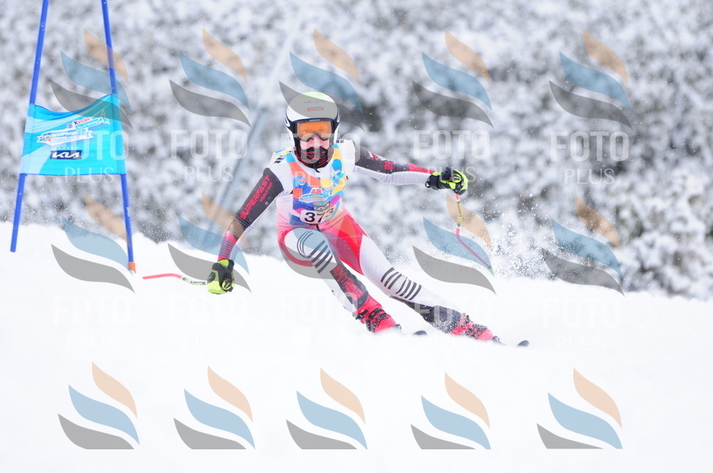 C3972 | holidayphoto