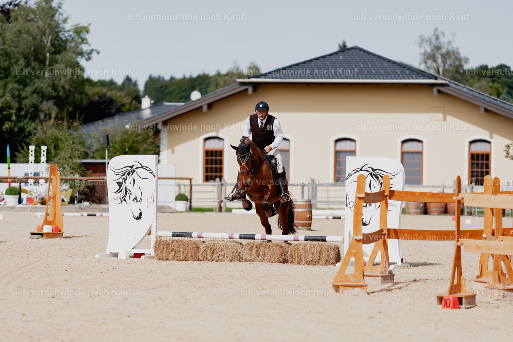 Gernot25_FHC2025-01792 | working equitationturnier fotograf videograf stoibphotography marixx film working equitation deutschland reitsport turnierfotografie eventfotografie equestrian events