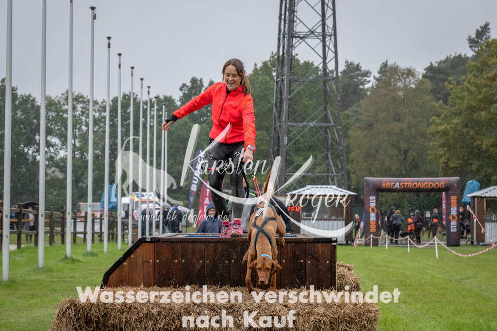 1312-93291 | kk-dogfotos