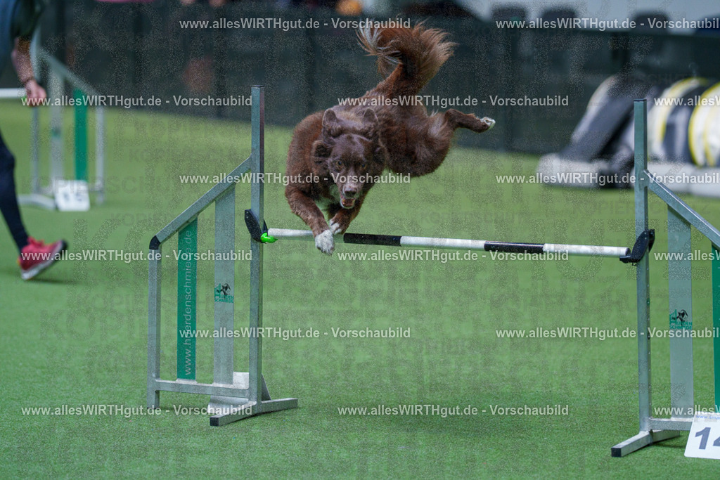 @allesWIRTHgut_Tierfotografie - www.allesWIRTHgut.de - 2604261518-7R505158 | Professionelle Tierfotografie in Mönchengladbach von Daniel Wirth (allesWIRTHgut). Liebevolle & natürliche Bilder von Hunden & Katzen für unvergessliche Erinnerungen.