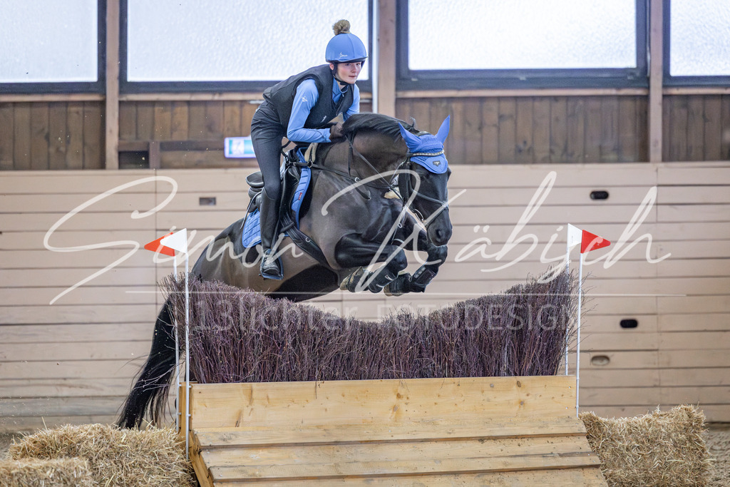 20260221-_3LI9352 | Tierfotografie Pferde, Hunde, Katzen, Haustiere.
Turnierfotografie Reitturniere, Reiten, Springreiten, Dressur in Hanau, dem Main-Kinzig-Kreis und dem Rhein-Main- Gebiet um Frankfurt