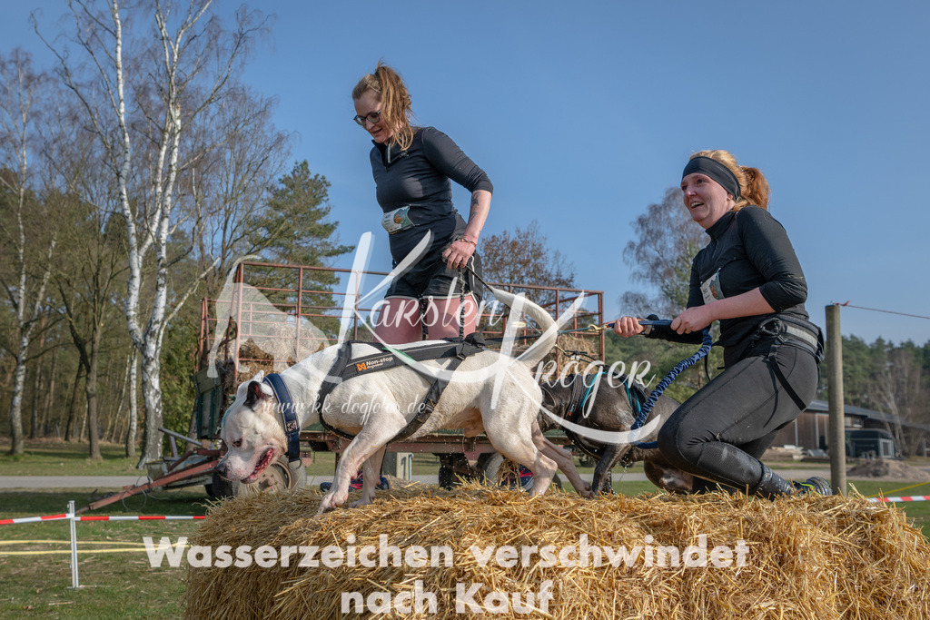 _ZZ90887 | kk-dogfotos