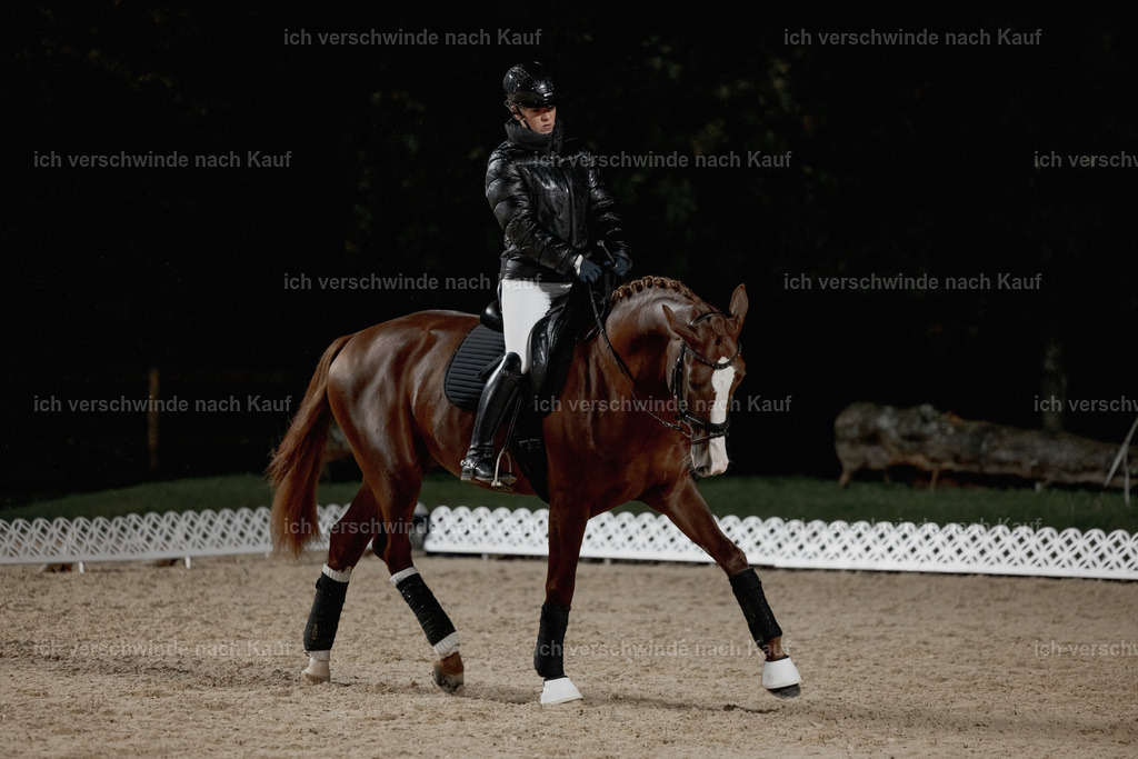 FHClassics-12 | working equitationturnier fotograf videograf stoibphotography marixx film working equitation deutschland reitsport turnierfotografie eventfotografie equestrian events