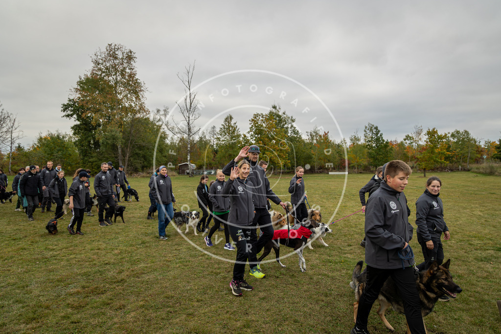 Pfotenfotografie_0L8A0231 | Hundefotografie, Tierfotograf, Pfotenfotografie, Fotoshooting Hund, Hunde Portrait, Hundesport, Hundeportraits, Heideshooting, Hunde, Sportfotograf, Hundefotograf, Turnierhundsport, THS,  - Realisiert mit Pictrs.com