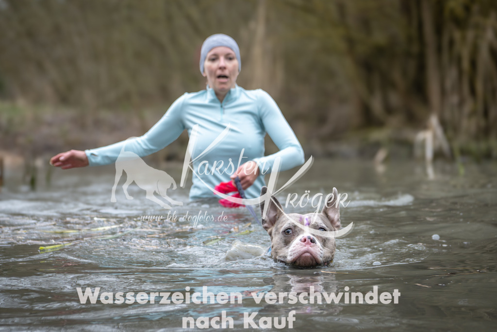 1001_ZZ95162 | kk-dogfotos