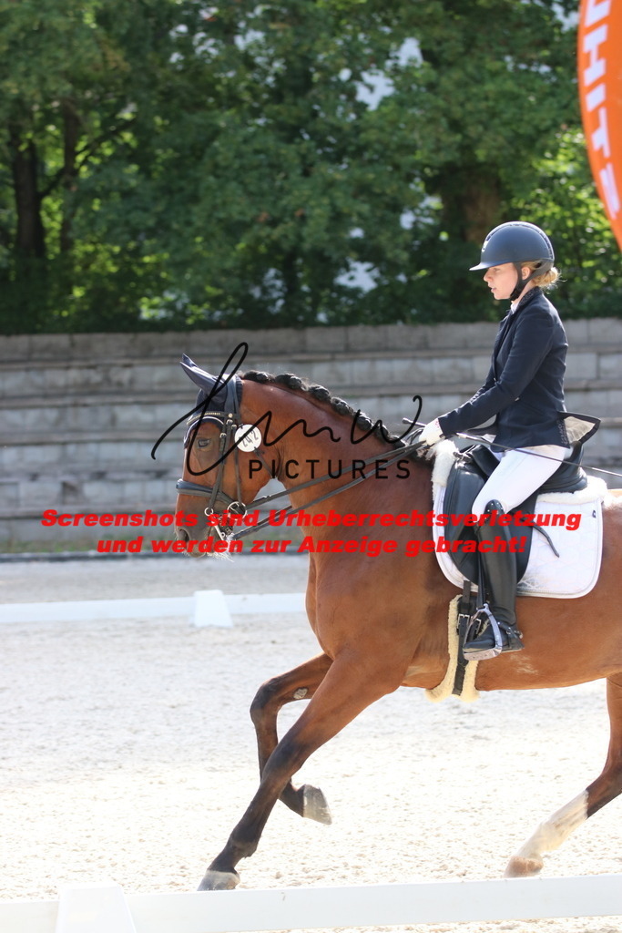 IMG_5691 | lmwpictures - Realisiert mit Pictrs.com