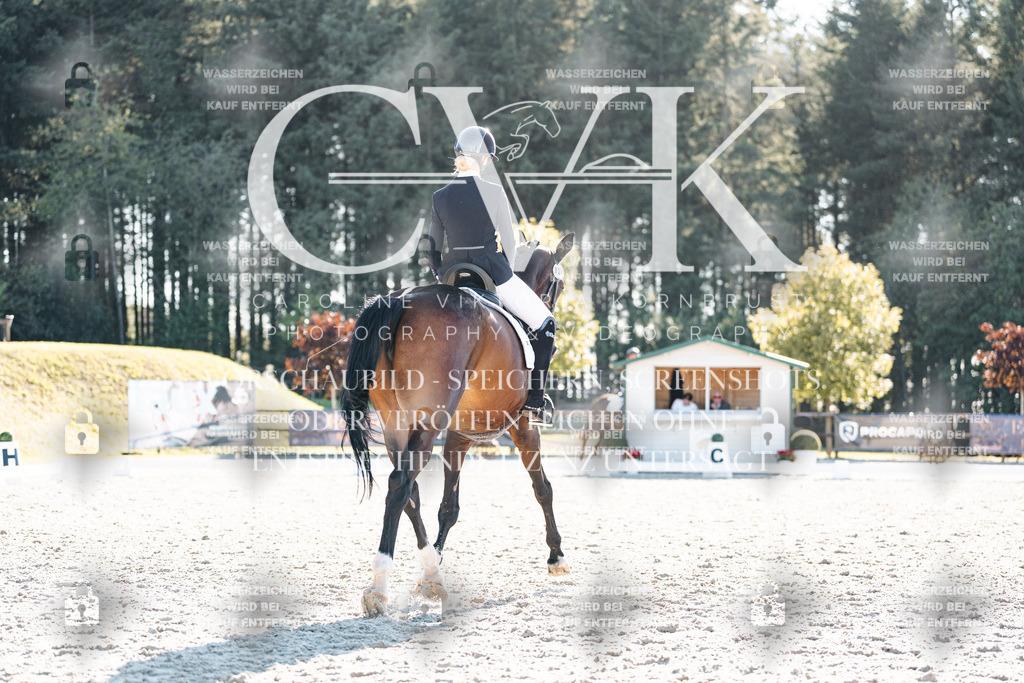CK906434 | Turnierfotografie Pferdefotografie Trier Rheinland-Pfalz Pferdesport Reitsport Tierfotografie Sportfotografie Pferdevideo Pferdevideografie Equestrianvideography equestrianphotography  - Realisiert mit Pictrs.com