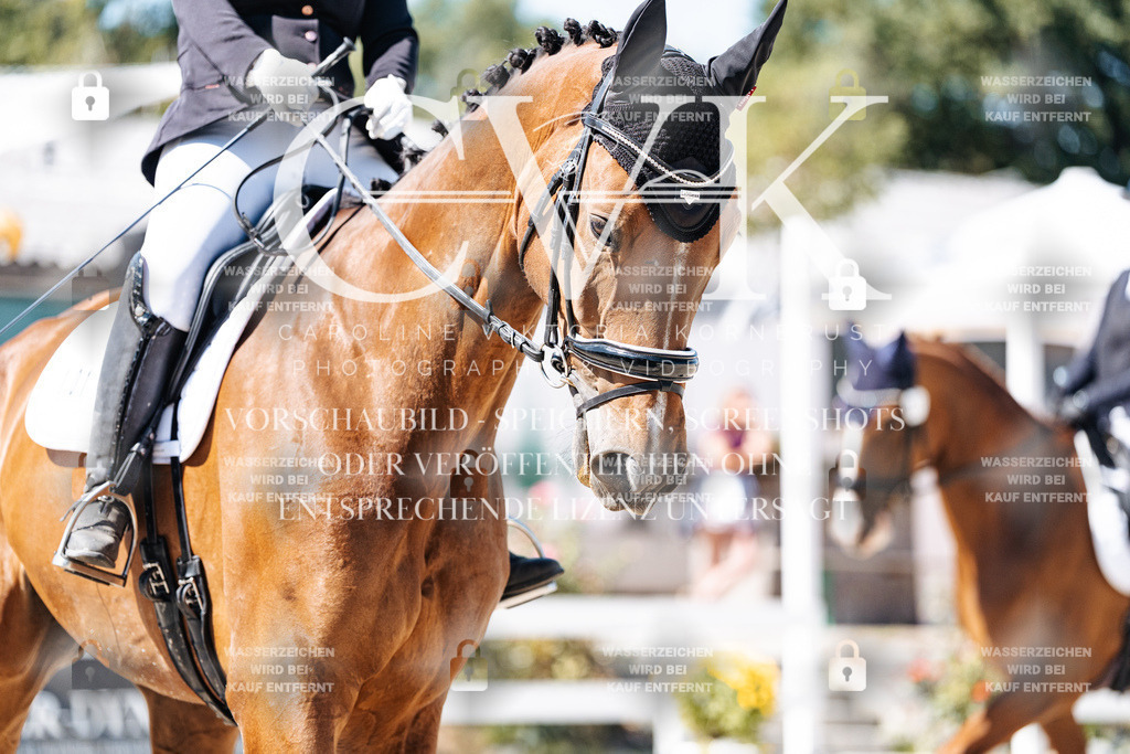 CK900011 | Turnierfotografie Pferdefotografie Trier Rheinland-Pfalz Pferdesport Reitsport Tierfotografie Sportfotografie Pferdevideo Pferdevideografie Equestrianvideography equestrianphotography  - Realisiert mit Pictrs.com