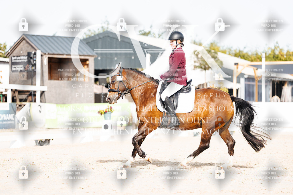 CK904960 | Turnierfotografie Pferdefotografie Trier Rheinland-Pfalz Pferdesport Reitsport Tierfotografie Sportfotografie Pferdevideo Pferdevideografie Equestrianvideography equestrianphotography  - Realisiert mit Pictrs.com
